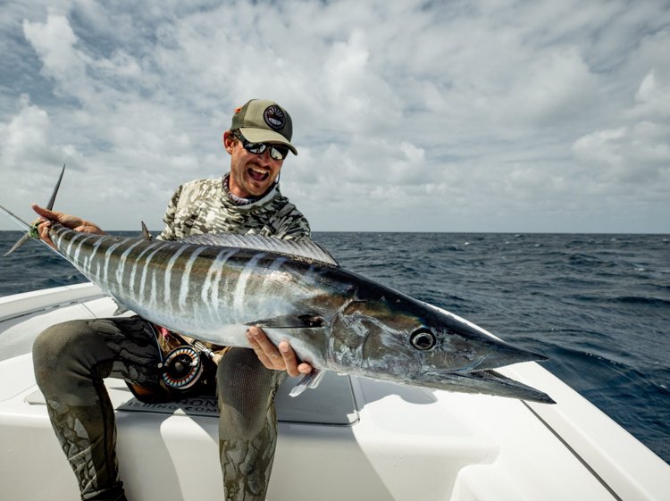 Wahoo