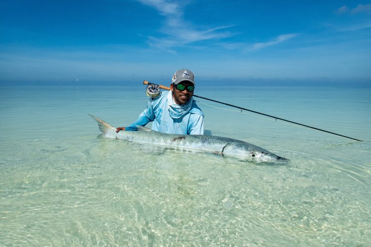 Barracuda