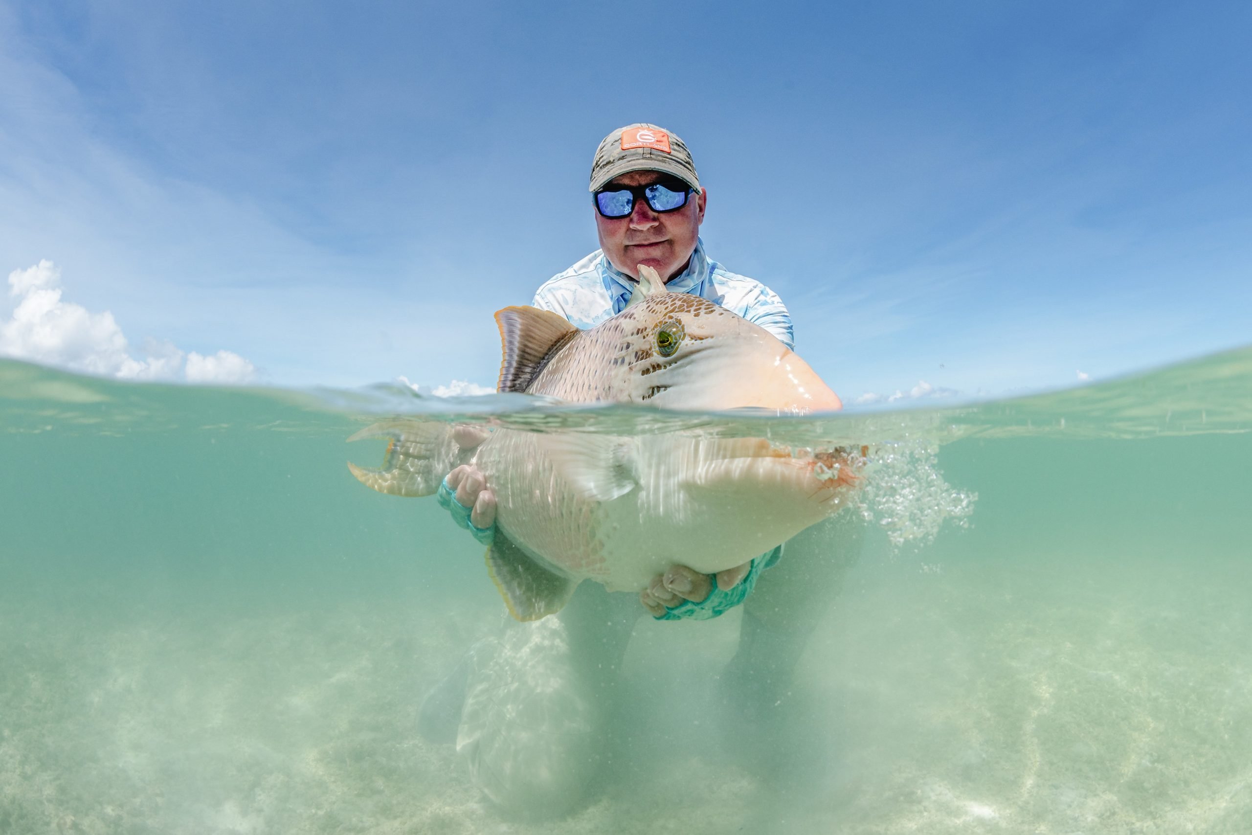 The 3 Triggerfish Species to Fly Fish