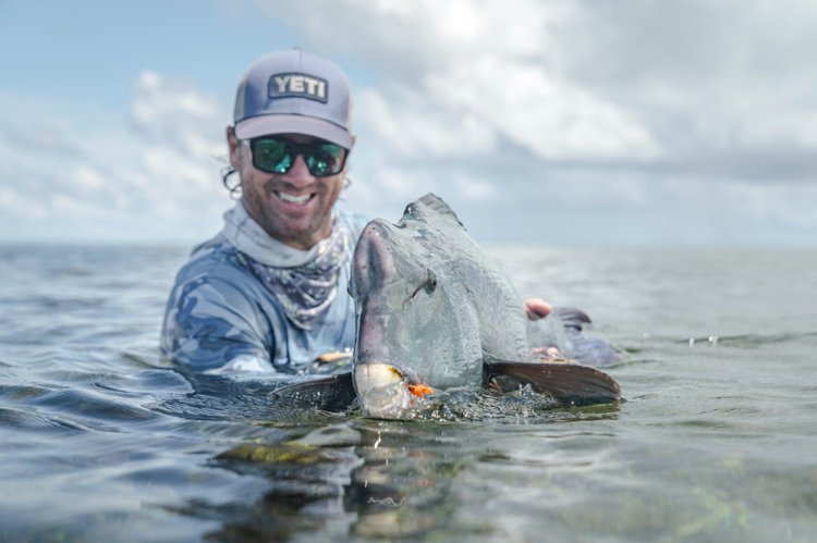 Bumphead Parrotfish