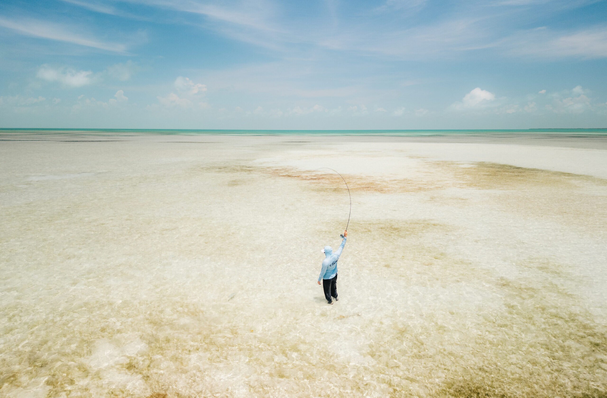 Blue Safari arrives in Mexico: Our first destination beyond the Indian Ocean